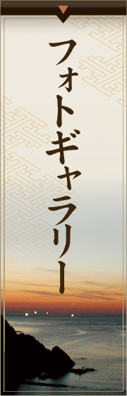 フォトギャラリー
