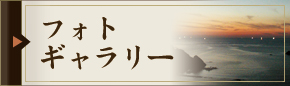 フォトギャラリー